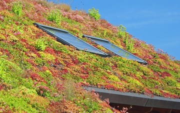 Brownlow Fold living roof systems