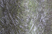 Brownlow Fold fibreglass roof work